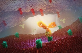 oncology antibody pharma astrazeneca oncology antibody pharma astrazeneca