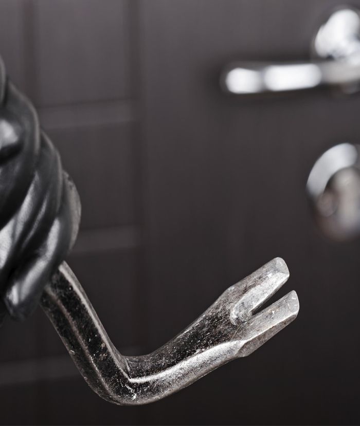 1585919660 puerta acorazada seguridad hogar