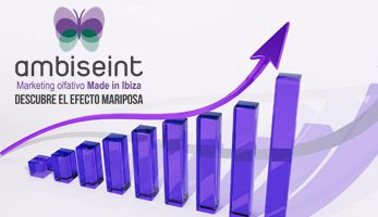 1632997936 ambiseint