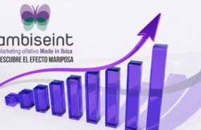 1632997936 ambiseint