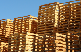 diseo sin ttulo 6 20240606143230 diseo sin ttulo 6 20240606143230