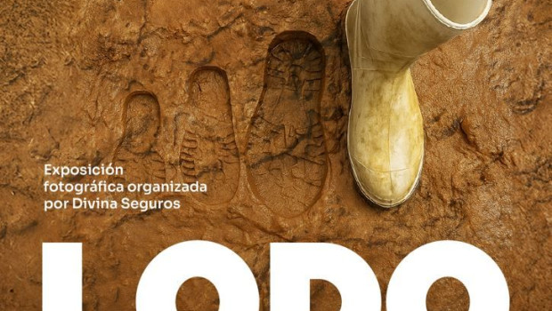 divinaseguros