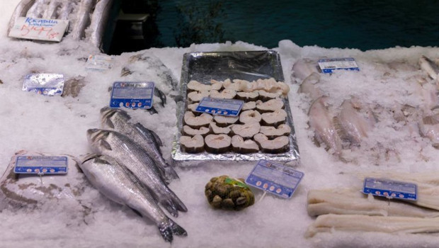 ep archivo   pescado expuesto en una pescaderia de un mercado