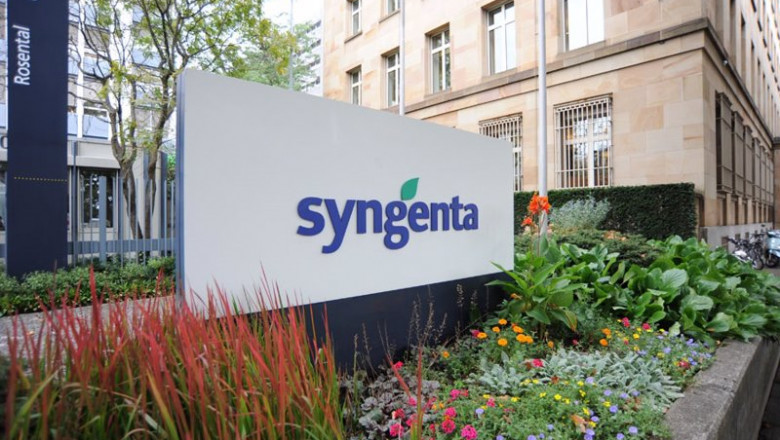 ep archivo   sede de syngenta