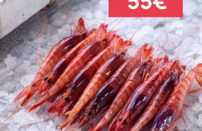 ep gamba roja de almeria