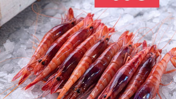 ep gamba roja de almeria