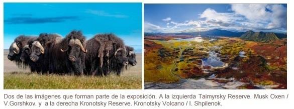 Imágenes de la muestra 'Tesoros de la Naturaleza Rusa' | MNCN-CSIC ep imagenesla muestra tesorosla naturaleza rusa