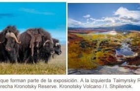 ep imagenesla muestra tesorosla naturaleza rusa