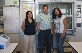 ep investigadoresinstitutoparasitologiabiomedicina lopez neira