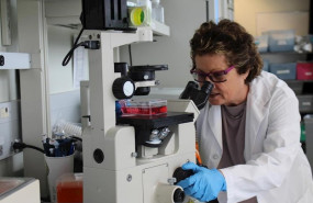 ep la doctora eleanor fish trabajando en su laboratorio en la red de salud de la universidad de ep la doctora eleanor fish trabajando en su laboratorio en la red de salud de la universidad de