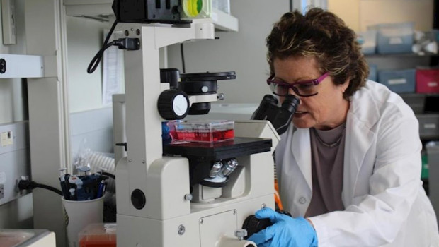 ep la doctora eleanor fish trabajando en su laboratorio en la red de salud de la universidad de