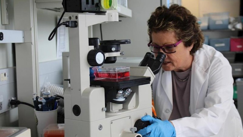 ep la doctora eleanor fish trabajando en su laboratorio en la red de salud de la universidad de ep la doctora eleanor fish trabajando en su laboratorio en la red de salud de la universidad de
