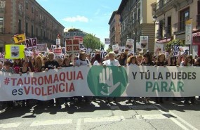 ep manifestacion antitaurinamadrid