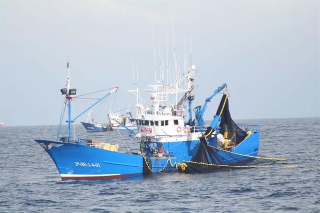Pesca de sardina en el golfo de Bizkaia | MSC ep pescasardinagolfobizkaia
