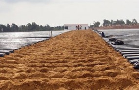 ep plantacionesfresashuelva