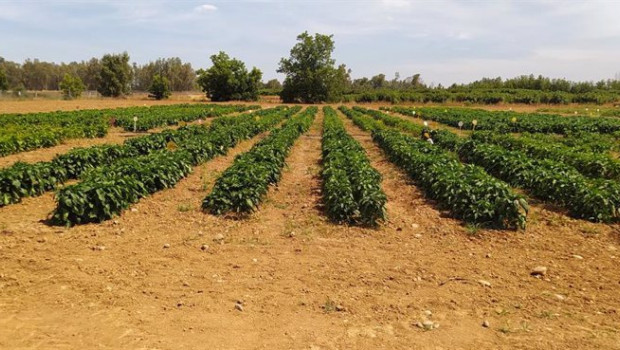 ep politica agraria comunitaria ep politica agraria comunitaria