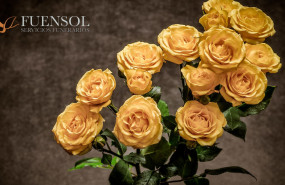 fuensol funeraria malaga marbella 