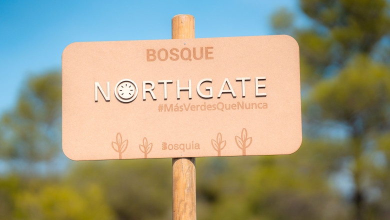 plantacion northgate 