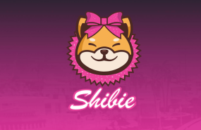 shibie shibie