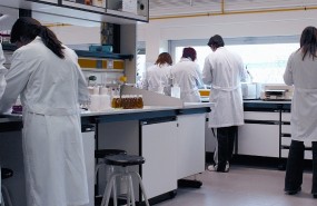 trabajadores cualificados investigadores