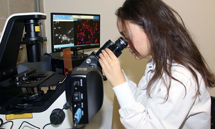 1579257998 polimerbioweb