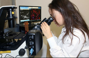 1579257998 polimerbioweb