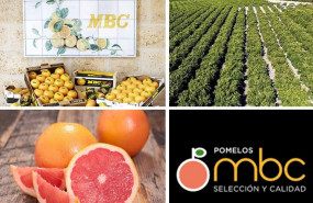 1645000772 cedeccomunicado pomelos mbc