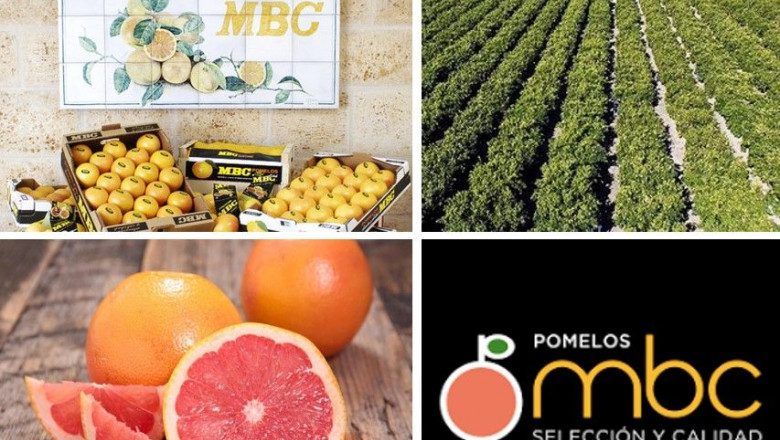 1645000772 cedeccomunicado pomelos mbc