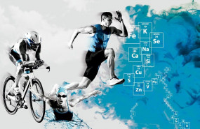 1650871510 totumsport prod