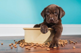 a 20250925192845 a 20250925192845