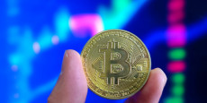 bitcoin cryptomonnaies 20241121150716 