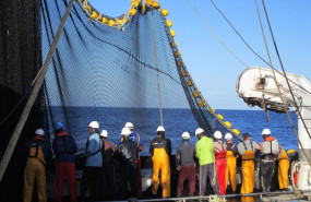 ep archivo   tareas de pesca en un barco de cerco de la flota atunera espanola