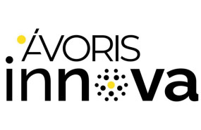 ep avoris pone en marcha un avoris innova un programa formativo sobre innovacion para empleados del