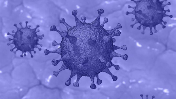 ep covid-19 nuevo coronavirus