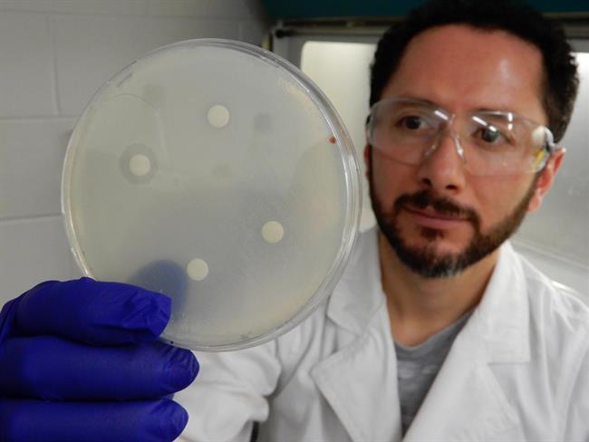 El Dr. Mario D. Garcia, de UQ, realiza uno de los muchos experimentos | THE UNIVERSITY OF QUEENSLAND. ep dr mario d garcia de uq realizademuchos experimentos