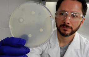 ep dr mario d garcia de uq realizademuchos experimentos