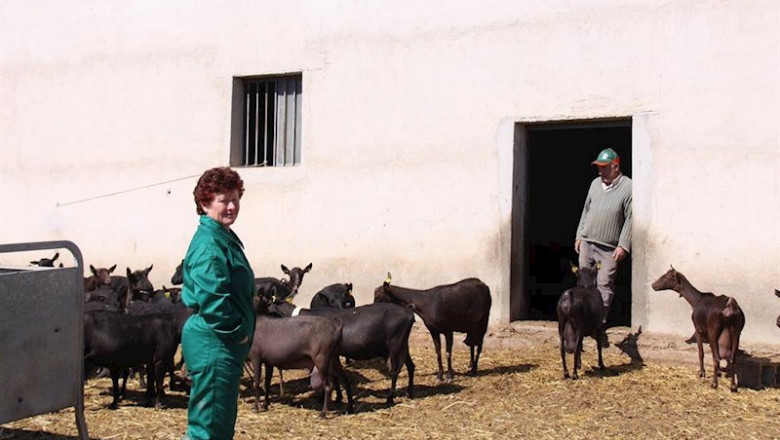 Ganaderos con cabras | UPA ep ganaderos con cabras