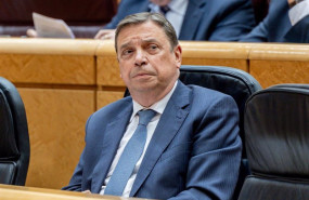 ep imagen de archivo del ministro de agricultura pesca y alimentacion luis planas durante una sesion