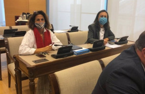 ep isabel borrego en la comision de agricultura pesca y alimentacion