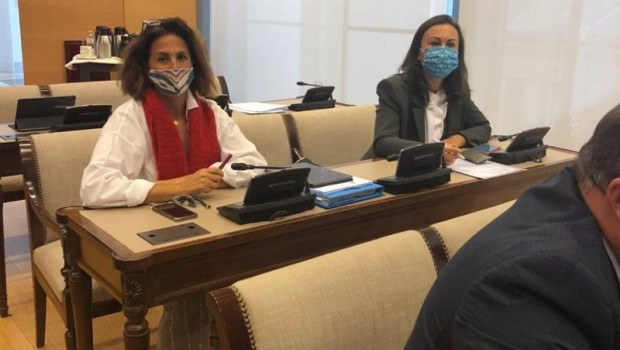 ep isabel borrego en la comision de agricultura pesca y alimentacion