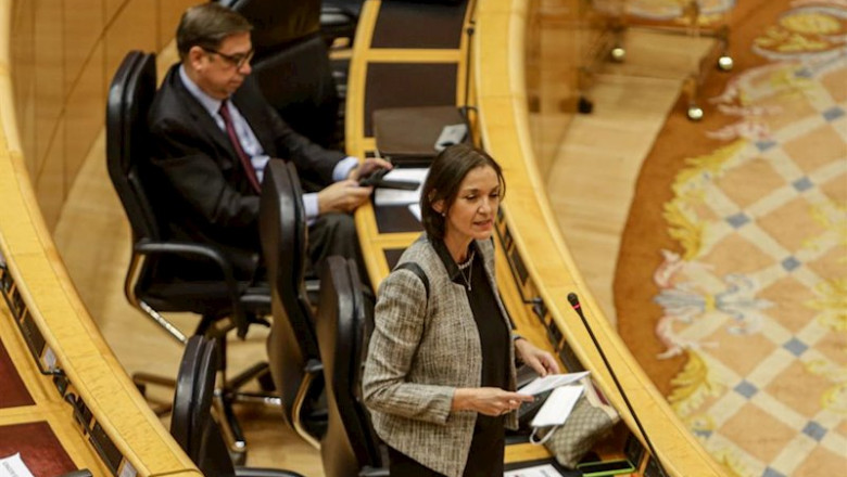 ep la ministra de industria comercio y turismo reyes maroto durante su intervencion en el pleno de