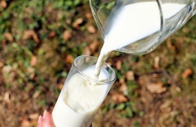 ep leche