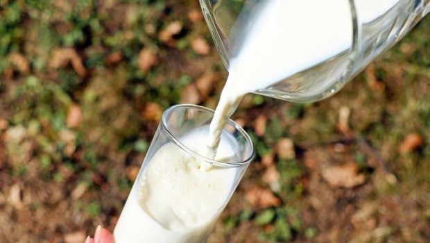ep leche