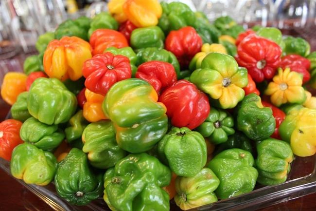 ep pimientos verdura agroalimentacion