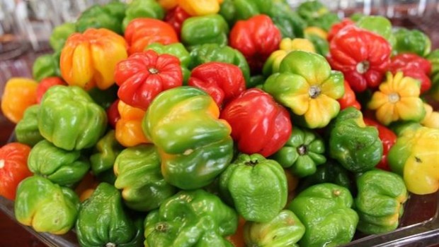 ep pimientos verdura agroalimentacion