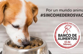 ep proyecto banco de alimentos de la fundacion kiwoko