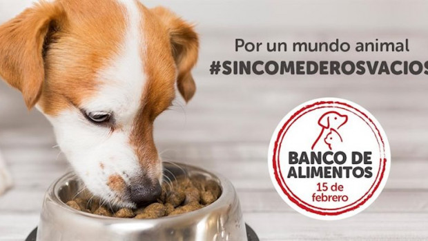 ep proyecto banco de alimentos de la fundacion kiwoko