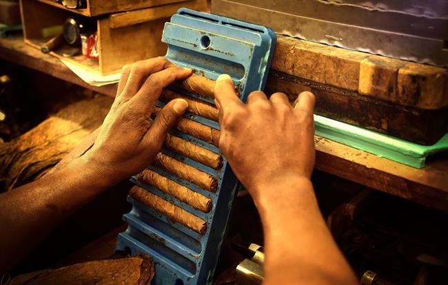 XX Festival del Habano | EUROPA PRESS ep xx festivalhabano