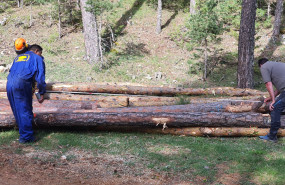 trabajadores 2 trabajadores 2