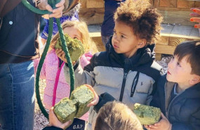 1581443085 whatsapp image 2020 02 11 at 141034